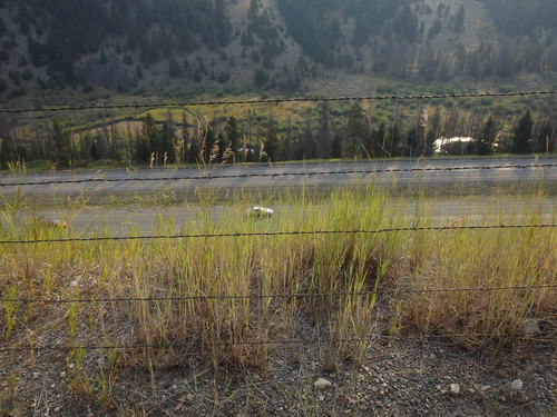 GDMBR: A view looking down on Interstate-15.